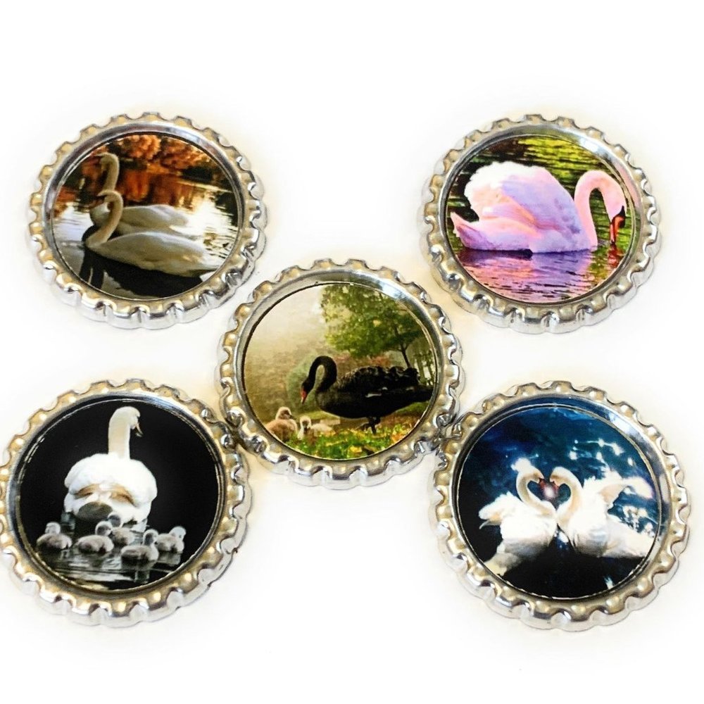 Swans Magnet Set
